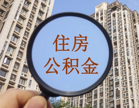 东莞退休后查不到公积金明细了吗（退休后公积金查询不到原因）
